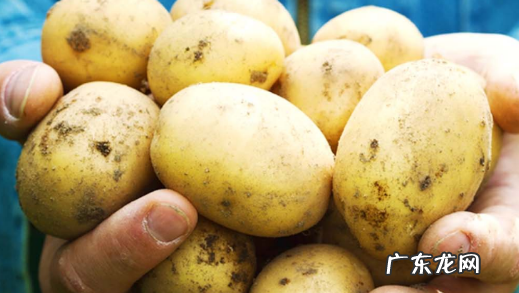 75个土豆什么意思,男生叫你小土豆什么意思
