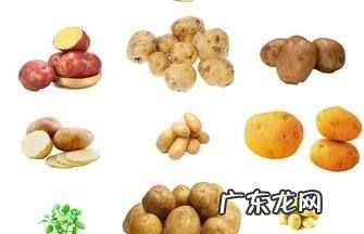 75个土豆什么意思,男生叫你小土豆什么意思