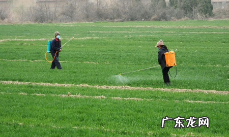 盖了防草布怎么施肥,冬天对果树要做哪些保护措施