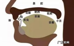 正确的说话发声方法,正确的说话发声方法 正确的说话发声方法有哪些