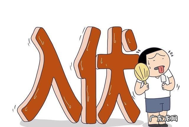 夏季分为哪三部分,夏天三个阶段是什么