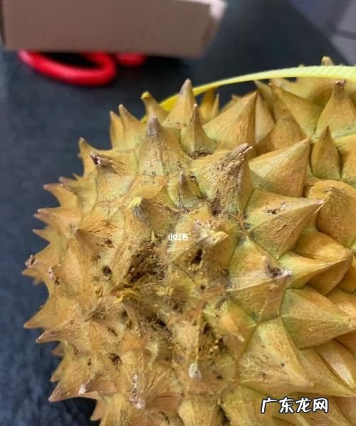 榴莲软烂是坏了的,榴莲软烂是坏了的
