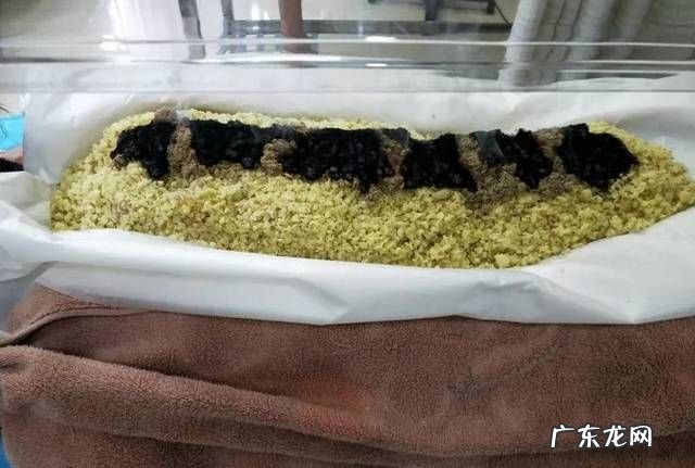 生姜铺灸多久做一次,最全的生姜妙用