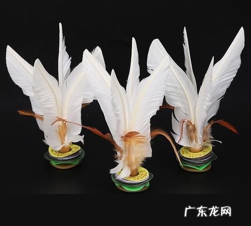 大白毽后打怎么发力,大白毽埋汰怎么能洗干净
