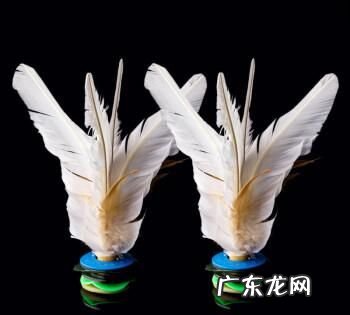 大白毽后打怎么发力,大白毽埋汰怎么能洗干净