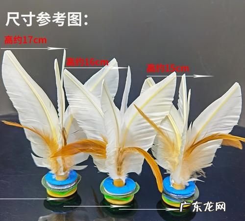 大白毽后打怎么发力,大白毽埋汰怎么能洗干净