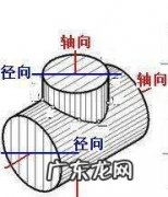 什么是纵向和横向,什么叫纵向和横向