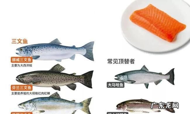 三文鱼为什么不卖活的,三文鱼上岸后能活