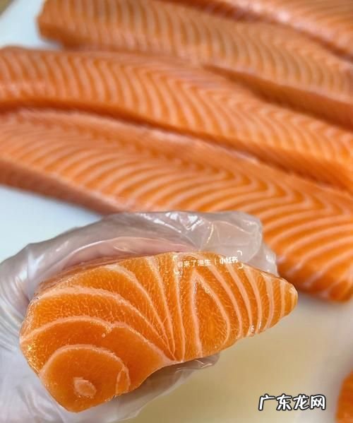 三文鱼为什么不卖活的,三文鱼上岸后能活