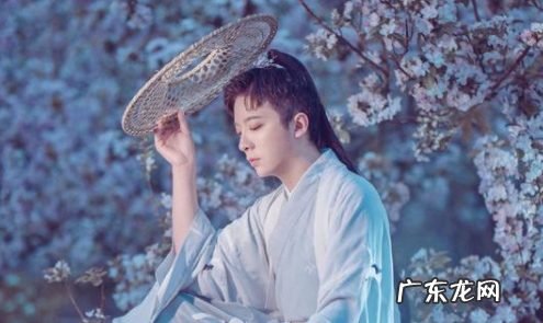 不谓侠写的是什么,不谓侠为什么突然火了