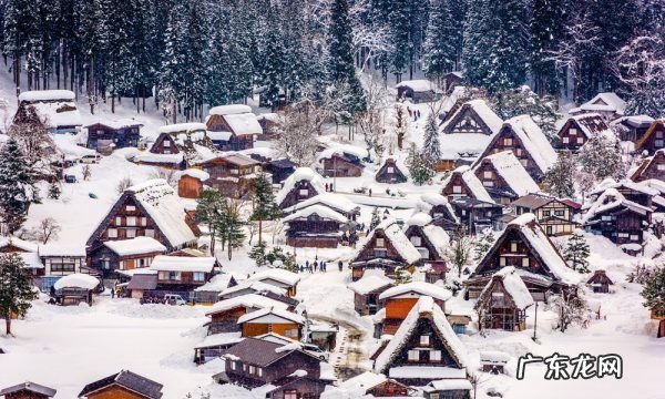 单反怎么拍雪景,在冬季怎样拍出独一无二的雪景照片