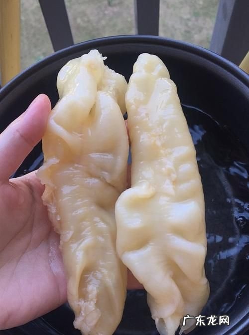 假花胶浸泡特征,真假鱼胶浸泡后的区别