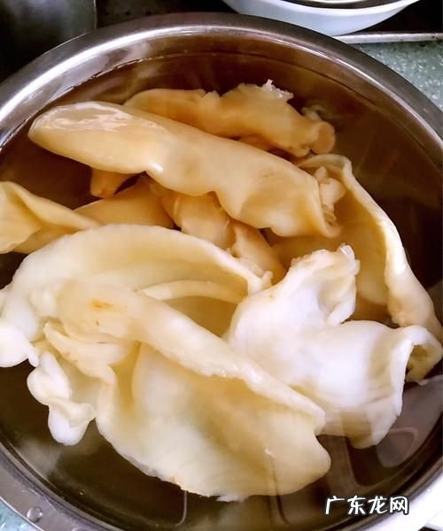 假花胶浸泡特征,真假鱼胶浸泡后的区别