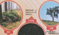 生活中有哪些辨别方向的方法,生活中辨别方向的方法有哪些写出一种
