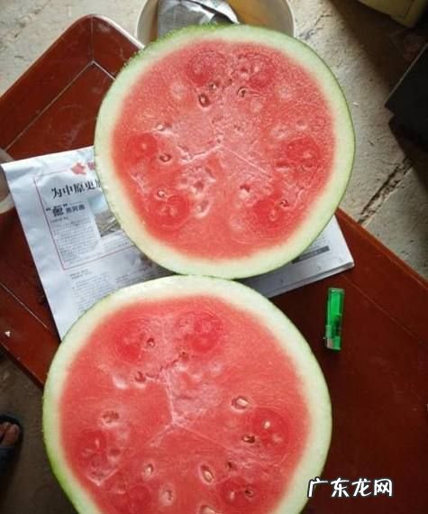 生西瓜放时间长点能熟,西瓜有点生放几天会变好吃