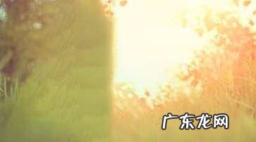 关于单车的爱情唯美句子,单车旅行唯美句子