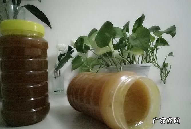 如何识别蜂蜜真假,怎样辨别蜂蜜的真假