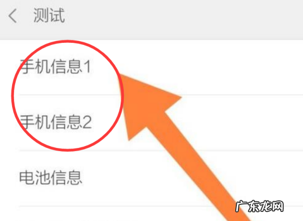手机拼网络怎么拼,安卓系统ping工具