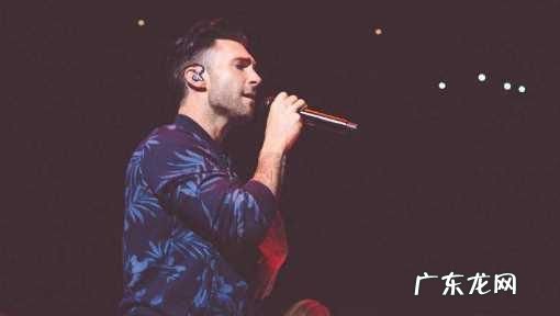 还音的意思是什么,歌手唱歌还音是什么意思