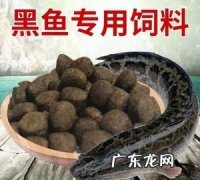黑鱼喂什么饲料,黑鱼吃什么饲料