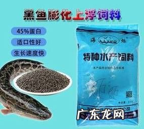 黑鱼喂什么饲料,黑鱼吃什么饲料