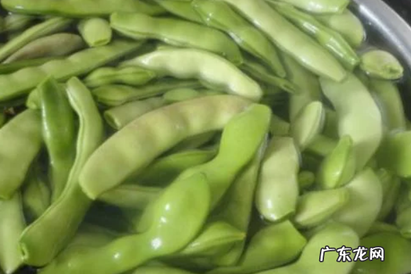 豆角怎样冻才能保持绿色好吃,豆角怎么冻最好吃窍门