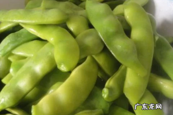 豆角怎样冻才能保持绿色好吃,豆角怎么冻最好吃窍门