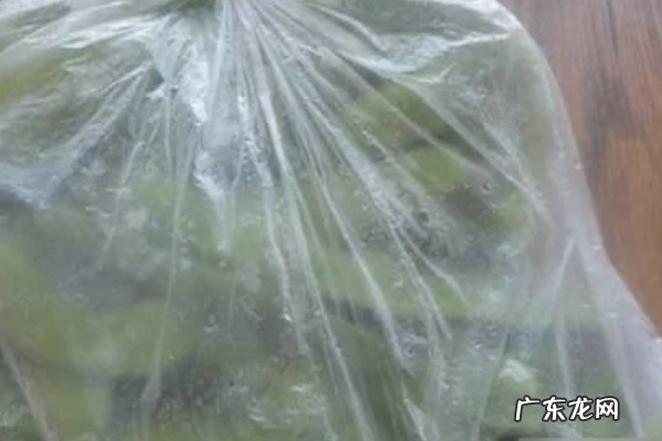 豆角怎样冻才能保持绿色好吃,豆角怎么冻最好吃窍门