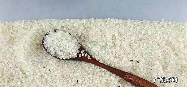 夏天大米怎么保存才不生虫,夏天米怎样保存不生虫不发霉