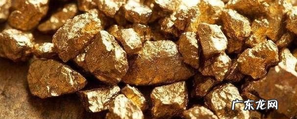 淘金谷挖到金蛇什么意思,淘金谷挖出的金王八是啥