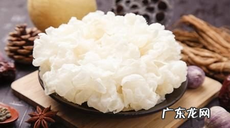 雪耳与银耳有什么区别,雪耳和银耳是一样的