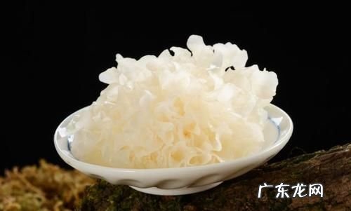 雪耳与银耳有什么区别,雪耳和银耳是一样的