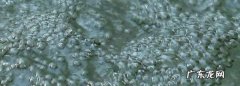 雨落在水里为什么起泡泡,雨滴落在水里会在水面上形成泡泡这些泡泡是怎么形成的
