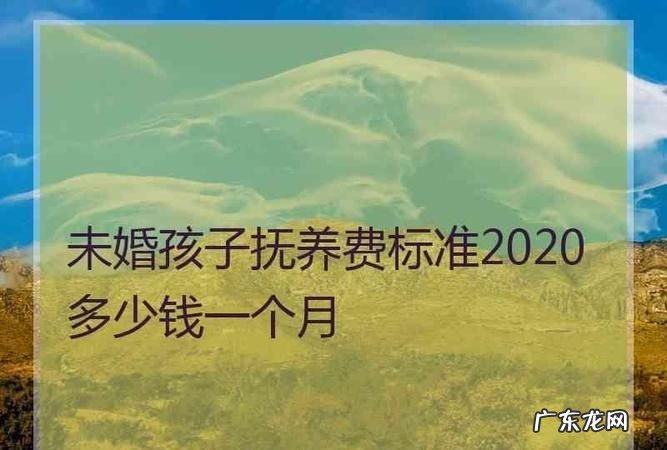 子女抚养费该由谁来出,抚养费是一方承担还是双方承担