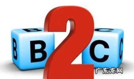 b2c是什么对什么,b2c是什么意思