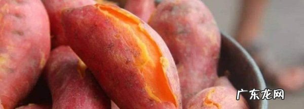 蜜薯和红薯什么区别,蜜薯和红薯什么区别