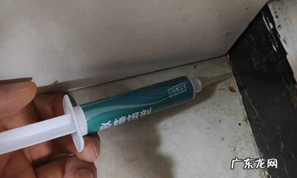 家里出现蟑螂怎么根除,屋里有蟑螂怎么彻底根除