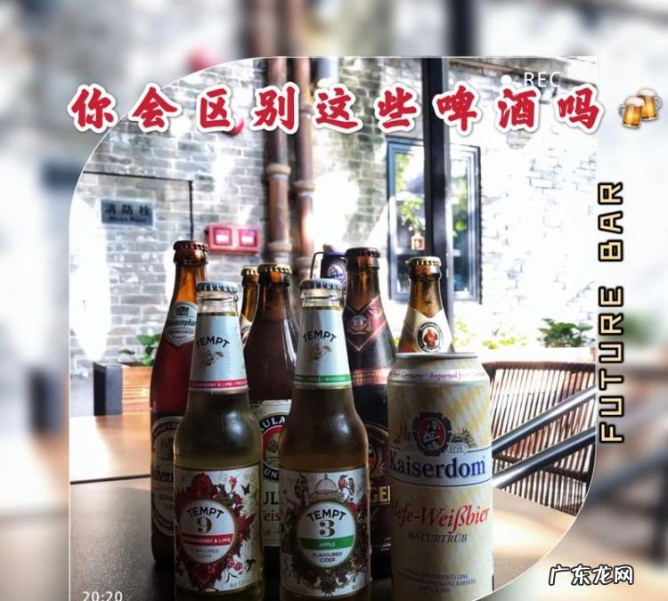 黄啤和白啤的区别是什么,白啤酒黄啤酒黑啤酒区别有哪些