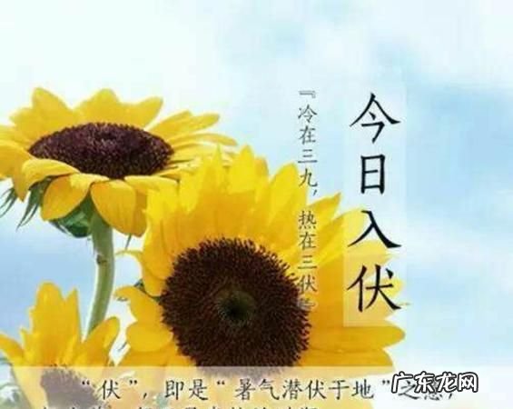 夏季伏期开始那天,每年三伏天从什么时候开始