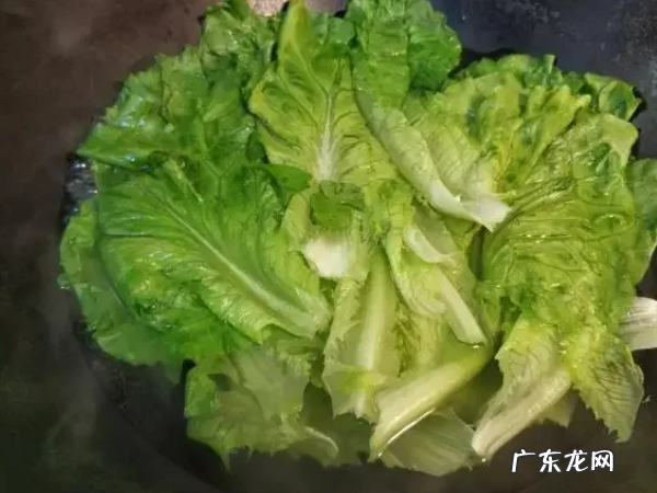 蚝油生菜怎么做窍门,蚝油生菜怎么做又简单又好吃