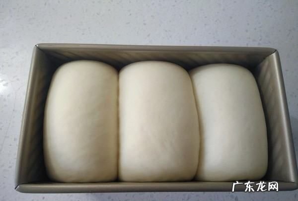 烤箱发酵必须放水吗,烤面包的时候是要加水的