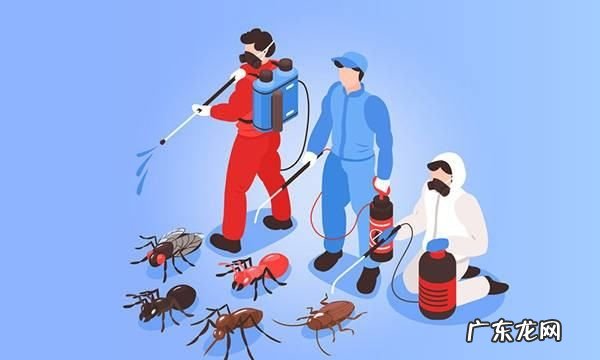 卫生间有蟑螂的原因,家里卫生间为什么会出现蚂蚁