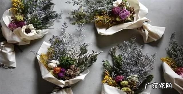 干花发霉了怎么办,干花满天星发霉长毛怎么办