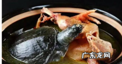 霸王别姬是哪一个菜系的代表菜,霸王别姬是什么菜