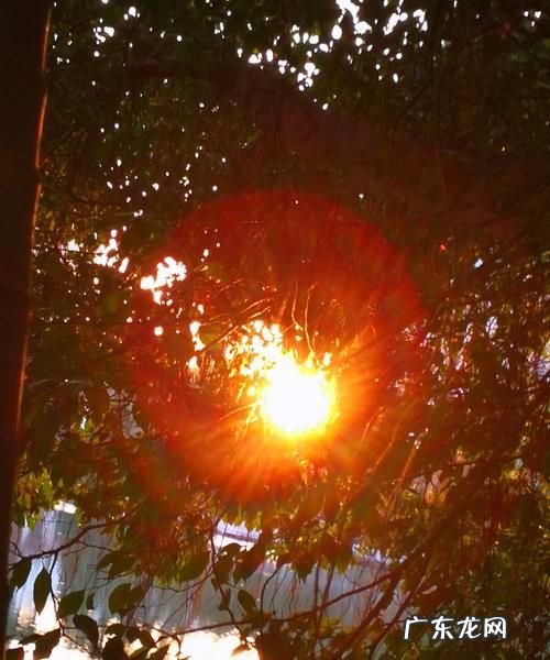如何拍摄太阳光芒,如何拍出太阳光线