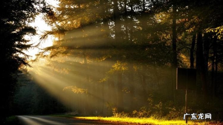 如何拍摄太阳光芒,如何拍出太阳光线