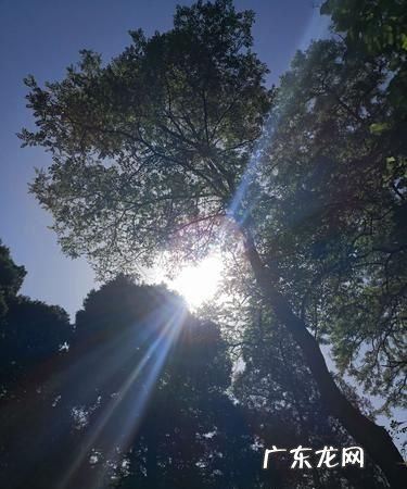 如何拍摄太阳光芒,如何拍出太阳光线