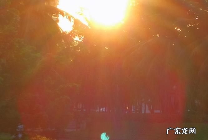 如何拍摄太阳光芒,如何拍出太阳光线