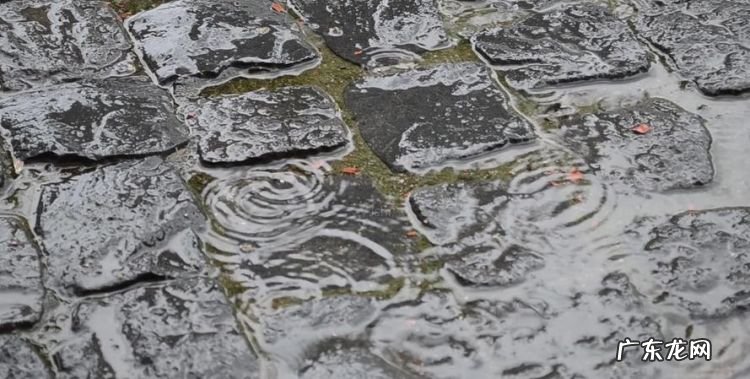 下雨地面上的泡泡怎么来的,为什么下雨地上有泡沫