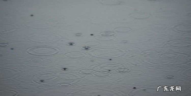 下雨地面上的泡泡怎么来的,为什么下雨地上有泡沫